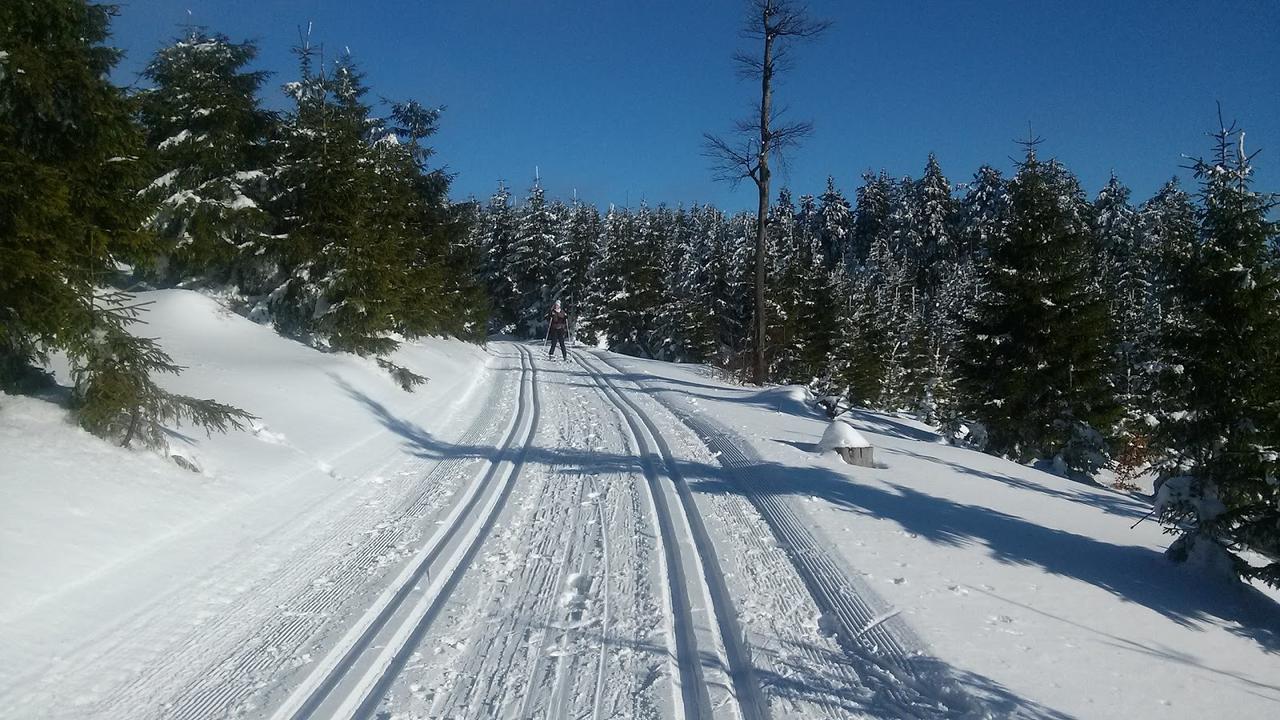 Penzion Eliska Петриков Екстериор снимка
