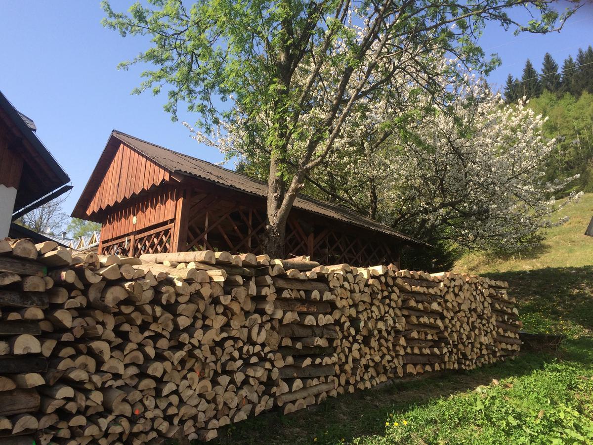 Penzion Eliska Петриков Екстериор снимка